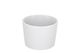 Schaal Palmer White Delight - 7,5cm