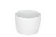 Schaal Palmer White Delight - 10cm