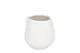 Melkkan Palmer Royal Ivory - 10cl
