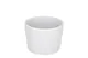 Schaal Palmer White Delight - 7,5cm